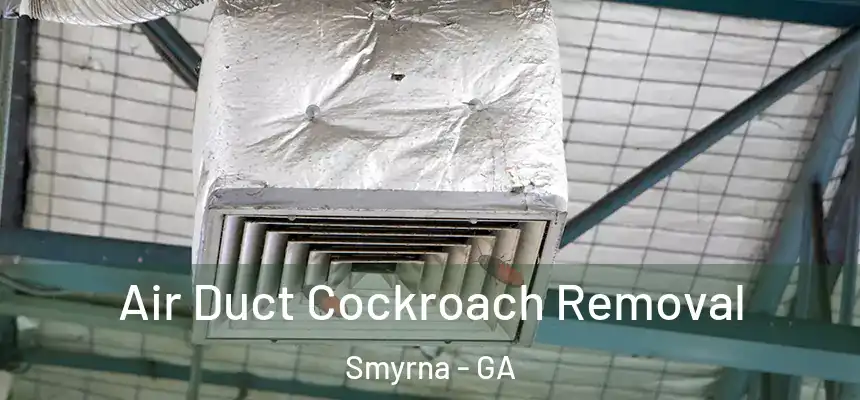 Air Duct Cockroach Removal Smyrna - GA