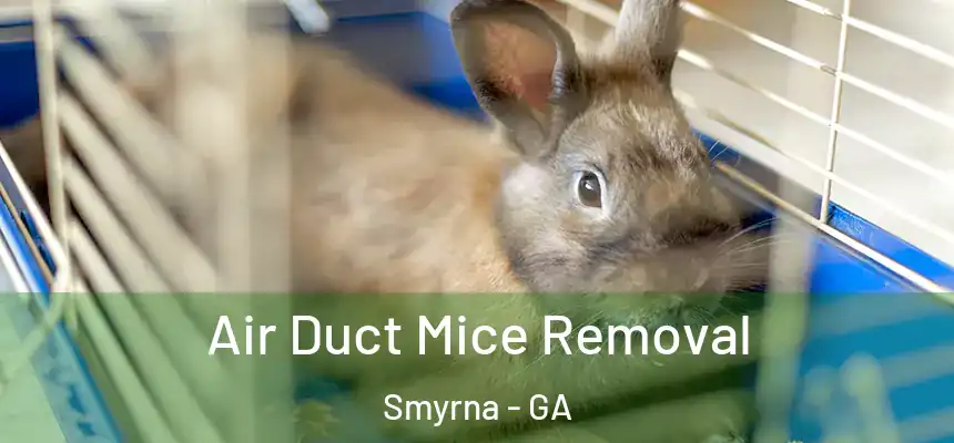  Air Duct Mice Removal Smyrna - GA