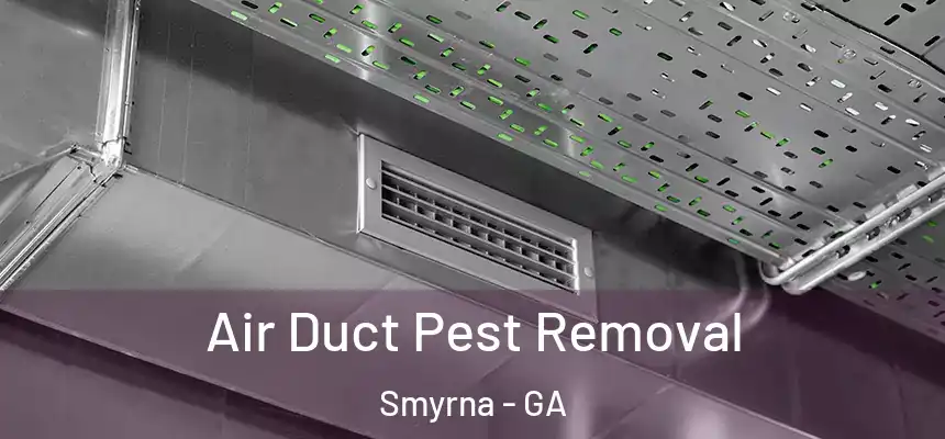 Air Duct Pest Removal Smyrna - GA