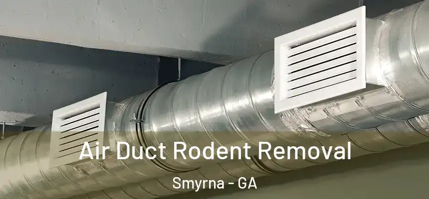 Air Duct Rodent Removal Smyrna - GA
