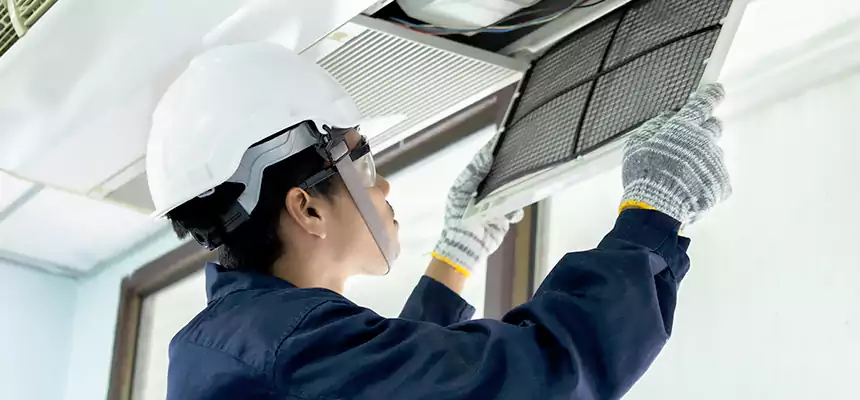 Our Mold & Mildew Removal from Air Ducts Services in Smyrna, GA