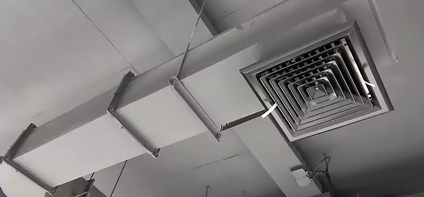 Our Pest Removal From Ducts Services in Smyrna, GA