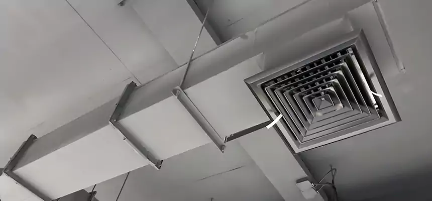 Our Rodent Droppings In Vents Services in Smyrna, GA