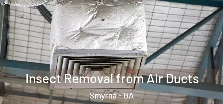  Insect Removal from Air Ducts Smyrna - GA