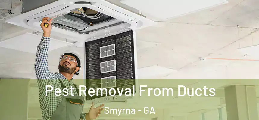 Pest Removal From Ducts Smyrna - GA