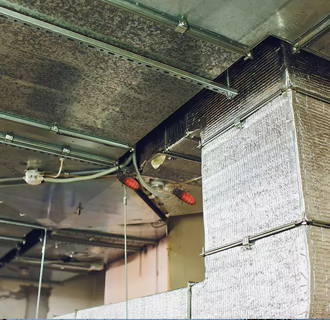 Why Homeowners & Businesses Trust Us in Smyrna, GA?